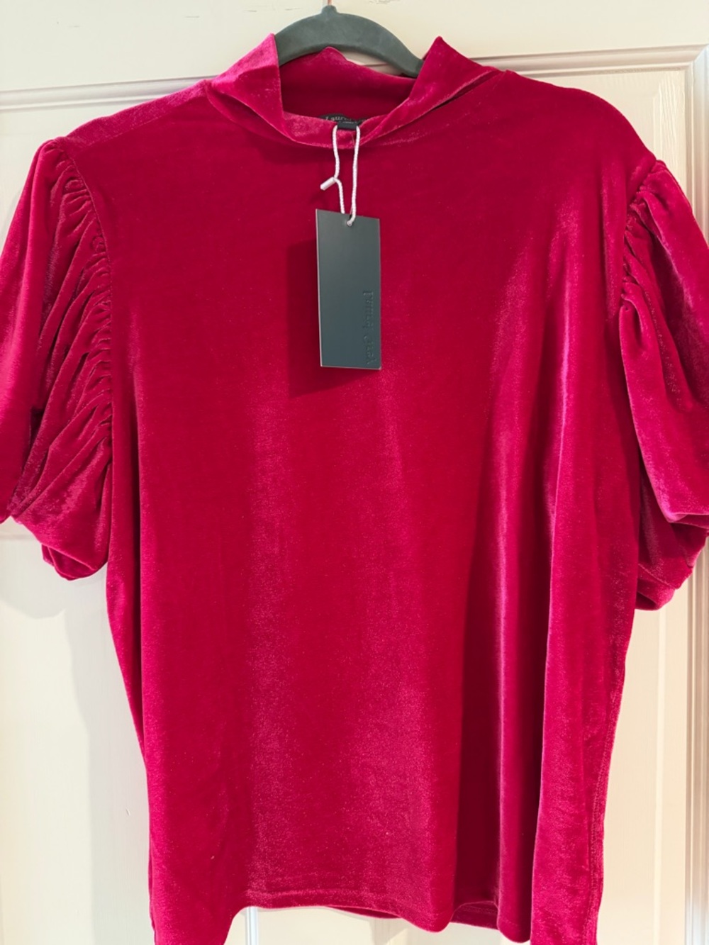LAUREL GREY Velvet Puff Sleeve Top - Fuchsia